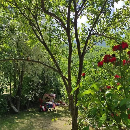 Immerso Nella Natura *