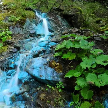 Appartamento Immerso Nella Natura